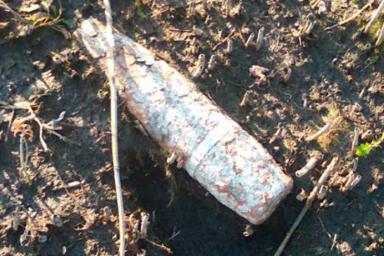 В Брестском районе студент-практикант выловил артиллерийский снаряд в пруду рыбхоза