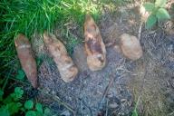 Житель Лоевского района копал огород и наткнулся на боеприпасы