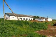 Забил до смерти трубой: в Шумилинском районе собака помогла найти убийцу