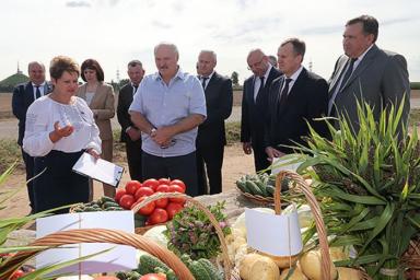 Лукашенко – чиновникам: «Вы мне не страдайте. Ваше дело – продать то, что вырастили крестьяне»