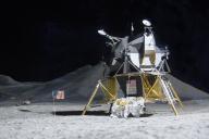 Эксперты рассказали о самых популярных теориях заговора