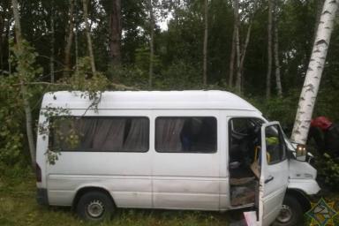 В Лепельском районе микроавтобус протаранил дерево