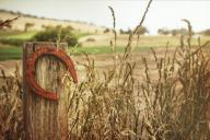 Какие вещи притягивают в дом удачу и счастье