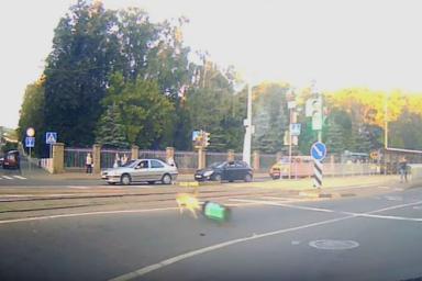 По центру Минска бегала собака с привязанной мусорной урной. Инцидент попал на видео