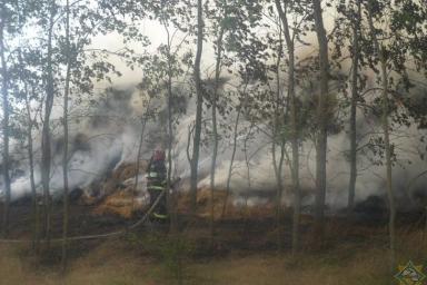 В Жлобинском районе произошел крупный пожар. Нанесен значительный ущерб