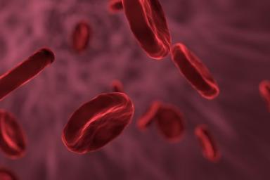 Ученые выяснили, чем уникальна вторая группа крови