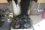 Один спасал коня, второй готовил обед. В Гомельской области пострадали люди