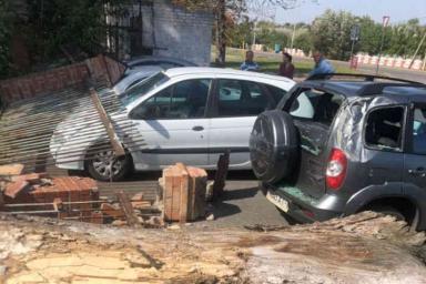 Упавшее в Кобрине дерево повредило четыре автомобиля