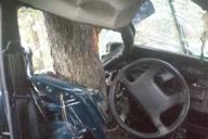 В Лунинецком районе бесправник вылетел в кювет и врезался в деревья: он в больнице