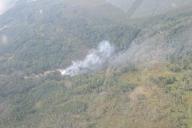 В Брестской области горит лес, но ситуация сложная