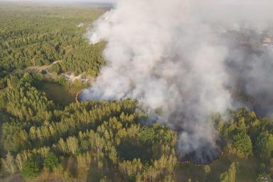 В чернобыльской зоне на территории Хойникского района горел лес