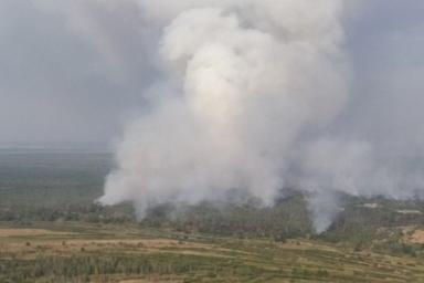 Масштабный лесной пожар в Полесском лесхозе потушили