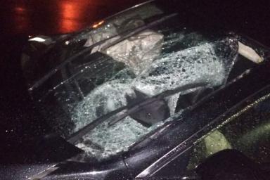 Mazda насмерть сбила пешехода на трассе М3