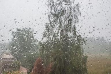 Погода на 15 сентября 2019 года: дожди и порывистый ветер