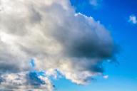 Красный уровень пожарной опасности объявлен в Гомельской области