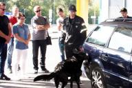 Кинологи Беларуси и Польши усилят взаимодействие на таможне