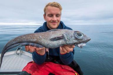 Норвежский рыбак выловил очень странное существо. И съел его