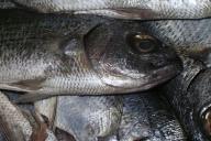 На чем зарабатывают регионы: варенье – в Японию, компоты и форель – в Россию