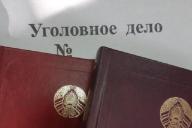 Гродненке, которая била своего сына, вынесли приговор