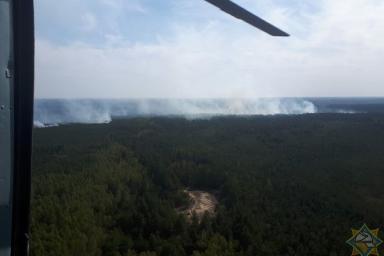 Уже вторую неделю на Столинщине бушуют лесные пожары