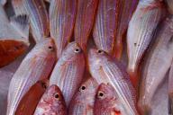 Медики назвали причины нехватки В12 в организме