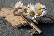 Как добиться осуществления мечты: топ-5 советов от психологов