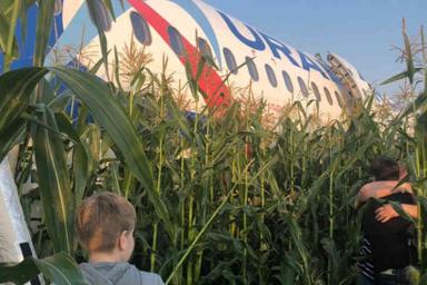 Пилот севшего в кукурузном поле самолета вернулся к полетам