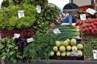 Облепиха от 4,5 руб, малина от 2,5 руб. Какие цены предлагают на Комаровском рынке за «витамины»  