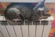 Отопление в Минске: когда ждать