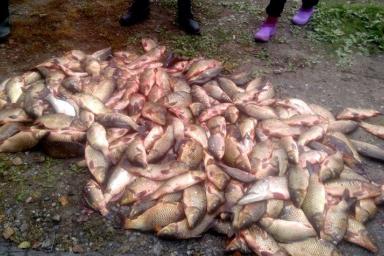 В Житковичском районе из пруда рыбхоза браконьеры украли более 220 кг рыбы