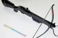 Пинчанин угрожал брату арбалетом из-за дома