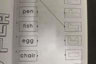 Пользователи сети сломали головы над простой задачей для дошкольников