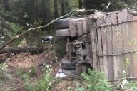 В Борисовском районе лесники срубили дерево у дороги – оно упало на проезжавший МАЗ. Водитель погиб