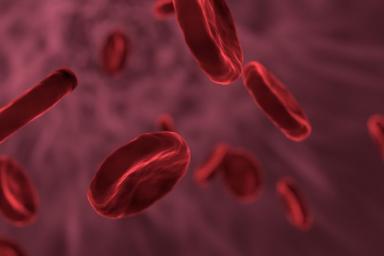 Японские учёные изобрели искусственную кровь