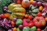 Быстрый и вкусный рецепт тыквы с овощами