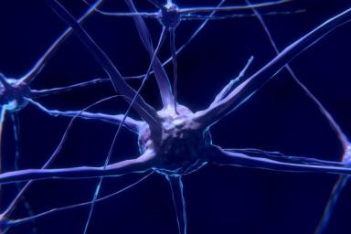 Ученые создали нейросеть, улучшающую качество снимков кровеносных сосудов и мозга