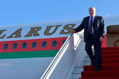 Первая встреча Лукашенко и Зеленского: названа точная дата