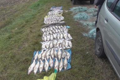 Браконьеров с 176 кг рыбы задержали на Вилейском водохранилище