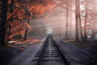 Какой сегодня праздник: 4 октября 2019 года