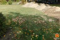 В Бресте при прокладке канализации нашли скелеты двух человек