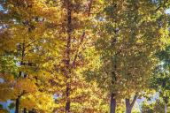 Погода на день 10 октября 2019 года