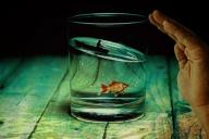 Знаки зодиака, которые не выполняют свои обещания