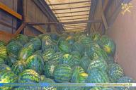 В Беларусь прорывались с десятками тонн нелегальных арбузов и пшеницы 