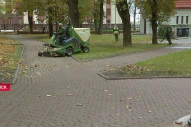 В Минске убирают опавшие листья спецкомбайнами. Вот как это выглядит 