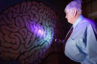 В США ученые восстановили активность мозга у 32 свиных голов спустя 4 часа после смерти