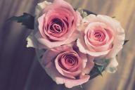 Подарки ко Дню матери: ТОП-10 лучших идей 