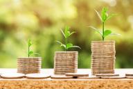 МВФ резко ухудшил прогноз для экономики Беларуси на 2020 год