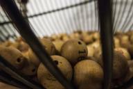 Мужчина выиграл в лотерею шестизначную сумму, но продолжил работать