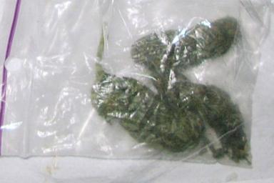 Гомельские таможенники нашли в поезде марихуану