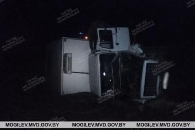 В Быховском районе грузовик насмерть сбил извозчика